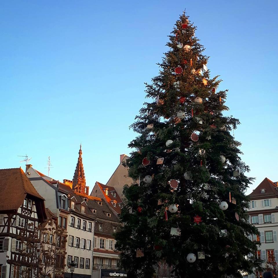 Premiere Classe Strasbourg Sud - Illkirch Esterno foto